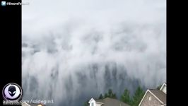 HORRIFYING Mist Engulfs Georgia Town 9517