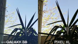 Samsung Galaxy S8 Plus vs Google Pixel XL  Camera Test 4K