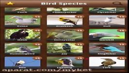 Bird Calls 2000+ Bird Songs Sounds for Android Mobile Tablets