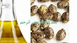 فوائد زیت الخروع للوجه