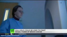 Can Zika virus kill brain cancer