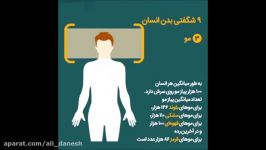 نه شگفتی بدن انسان