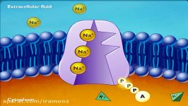 پمپ سدیم  پتاسیم ...