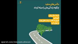 مگس های سفید تهران کجا آمده اند