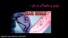 تحلیل کامل بازی وحشتناک جدید نهنگ آبی blue whale