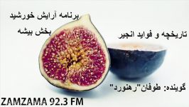 فواید تاریخچه انجیر