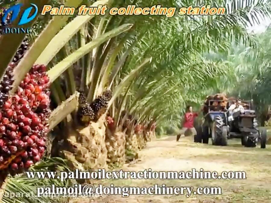 Large scale palm oil mill processing machine