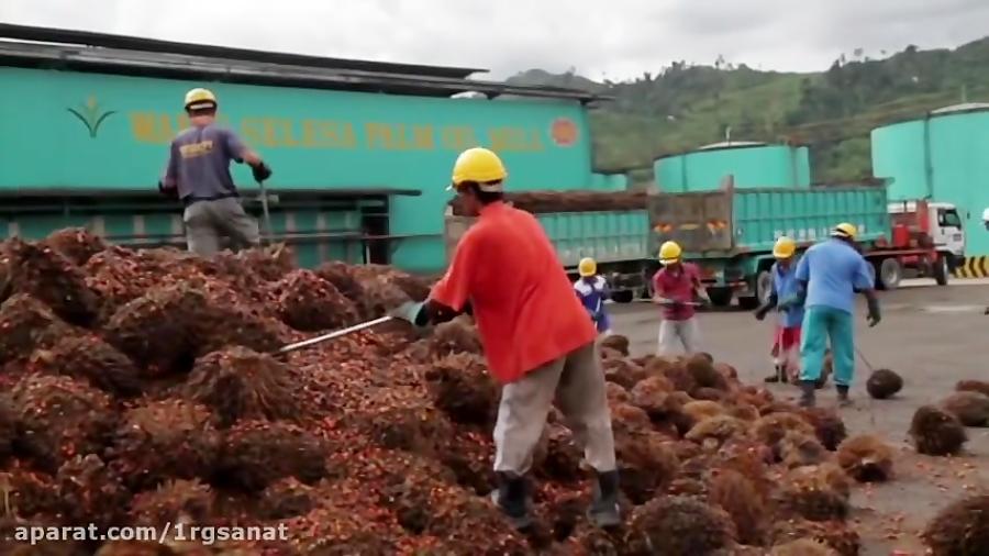 Waris Selesa Palm Oil Mill