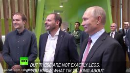 ‘There’s nothing better than cats Yandex virtual assistant tells Putin