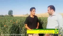 مزرعه گلرنگ  استان کردستان  دیواندره  آرام آقایی