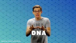 DNA Doesn’t Look Like What You Think