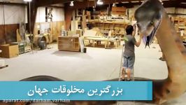 بزرگترین مخلوقات زنده کره زمین.