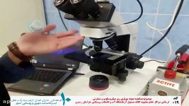 مشاهده نمونه بیولوژی زیر میکروسکوپ شمارش