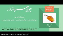 مدال کهربا حشره ای بولونی لهستان شفاف زیبا  کد 20970