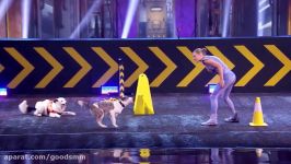 Sara and Hero Dogs And Trainer Deliver Amazing Routine  Americas Got Talent 2017