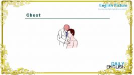 English Picture – Lesson 9  Name of Human Body Daily English 2017