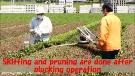 SKIFFING PRUNING MACHINE EVS ERS