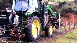 Vineyard Machine Pruning