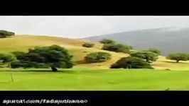 نماهنگ زیبای ای ایران ای مرز پرگهر