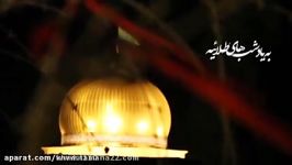 امام حسین علیه السلامسفارش همه شان رابه علی اکبرم کردم