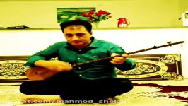 استادمحمود شکاری اهنگ ارزوم