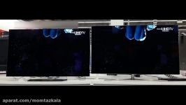 LG OLED vs SAMSUNG QLED