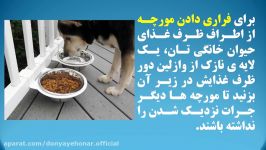 سیزده کاربرد جالب وازلین