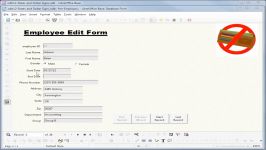 LibreOffice Base 12 Dates and Dollar Signs