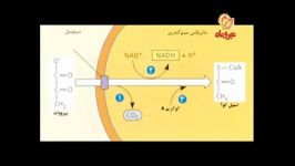 جمع بندی فصل فتوسنتز 1