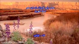 Ostad Shahriar ........... استاد شهریار  عجب پایی گریزان دارد این عمر