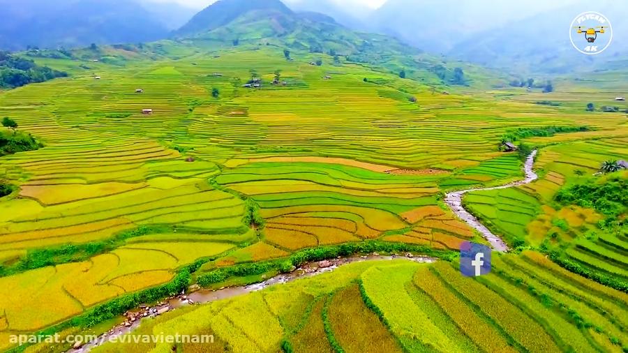 ویتنام Mù Cang Chải The Most Majestic Terraces Of VN