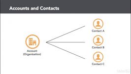 Sales record types  The basics