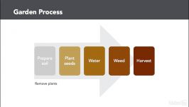 Business processes  The basics