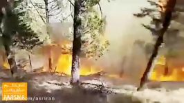 آتش سوزی وحشتناک جنگل های شرق گلستان