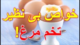 فواید بی نظیر تخم مرغ کمک آن به کاهش وزن کلسترول بد