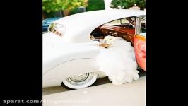 شیکترین تزئین ماشین عروس
