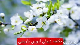 دکلمه.زیبای..آروین نارویی.به نام.دستی.بی نمک