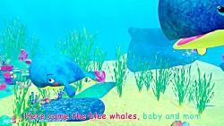 Mom and Baby Blue Whale Lullaby  ABCkidTV