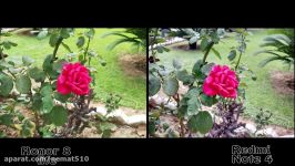 Redmi Note 4 vs Honor 8 Lite Camera Comparison