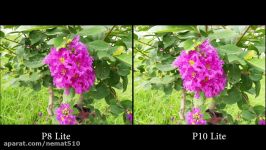 Huawei P10 Lite vs P8 Lite 2017 honor 8 lite Camera Test  Photo Comparison