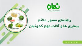 آفات بیماری های مهم کدوییان