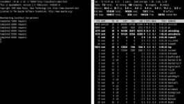 Testing Varnish Web Server Load Using Apache Benchmark