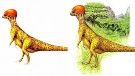 5 Future Dinosaurs That Could Have Existed If They Never Went Extinct.