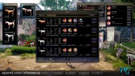 Black Desert Online  2017 10 Hours of Taming Horses