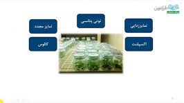 آموزش اصلاح نباتات  درس 15 کشت بافت 