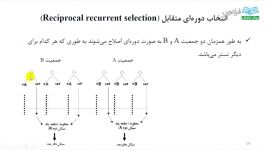 آموزش اصلاح نباتات  درس 12 روش اصلاح گیاهان دگر بارور ب