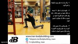 لانج پیاده روی هالتر