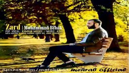 Mohammad Bibak  Zard آهنگ جدید محمد بیبا به نام زرد