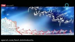 مداحی محمد رضا طاهری سینه زنی شهادت امام سجاد روضه های خرابه