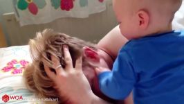 FUNNY Babies Wake up Daddy  BEST Babies Video Compilation